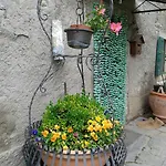 Alojamento de Turismo Rural La Buca *