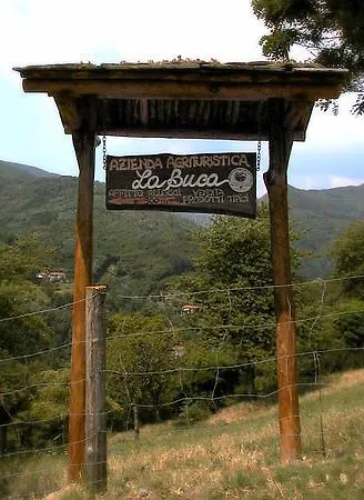 La Buca *